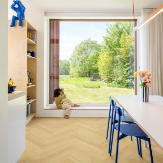 IMD8243_Interior01_din